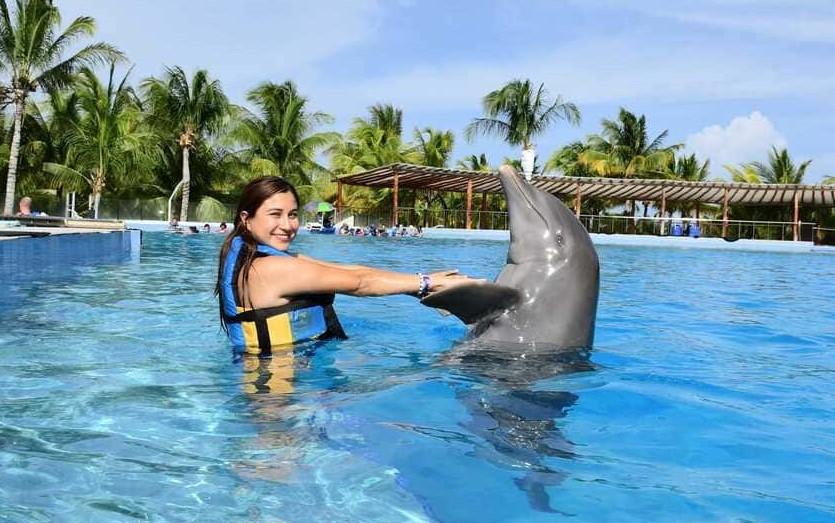 cuanto-cuesta-nadar-con-delfines-en-cancun