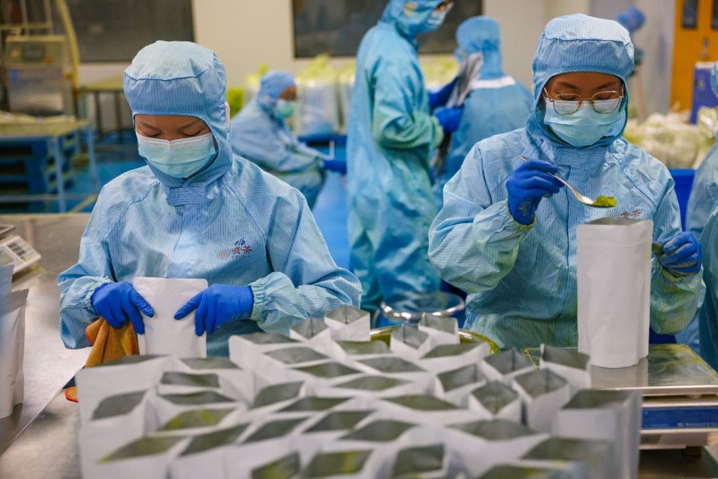 Trabajadoras envasan extractos de la industria del té en China en planta tecnológica