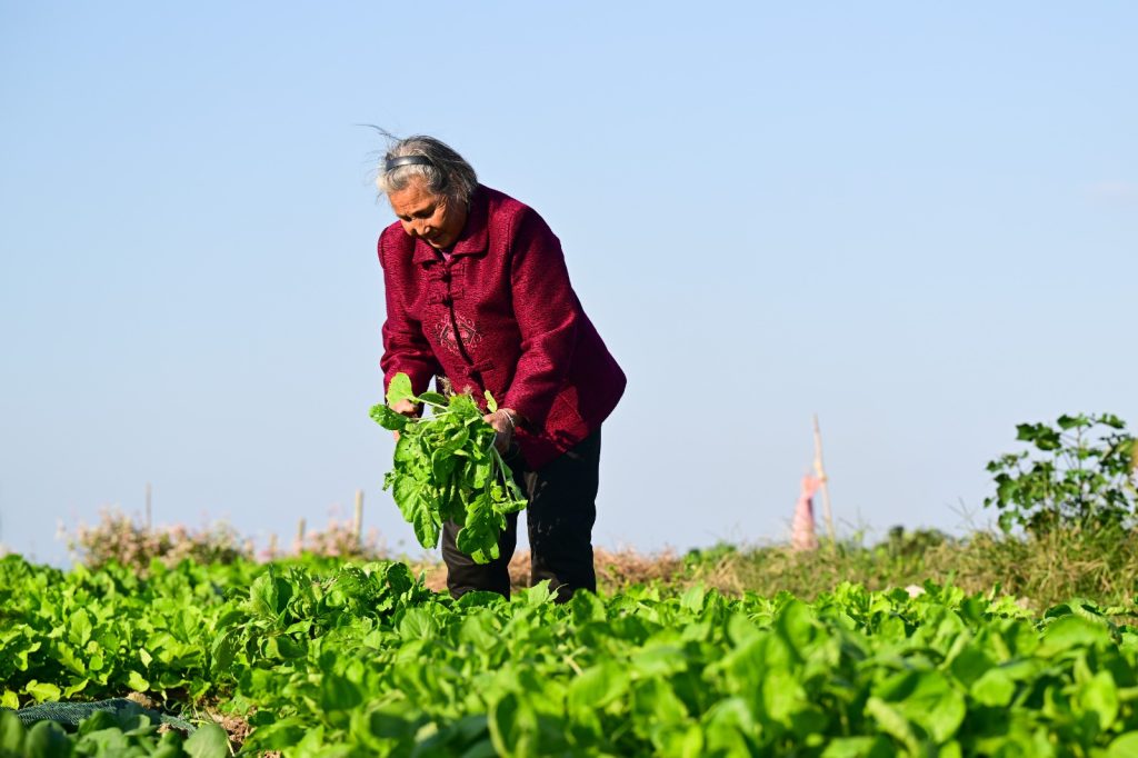 China aumenta la ayuda social