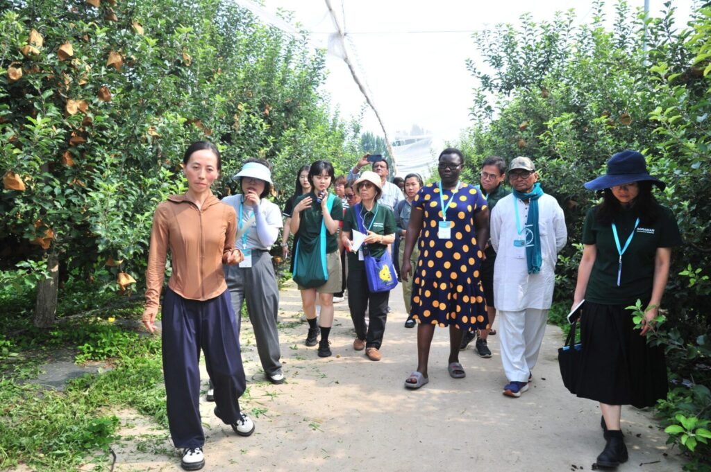 Visitantes internacionales recorren una explotación agrícola dedicada al turismo rural en China.