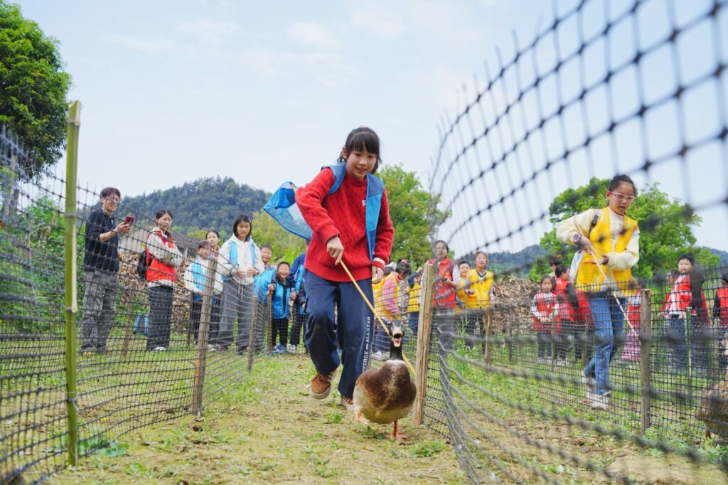 Niños participan de una actividad recreativa con animales en una granja turística de China.