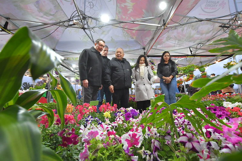 El intendente de Florencio Varela, Andrés Watson, en la Fiesta de la Flor.