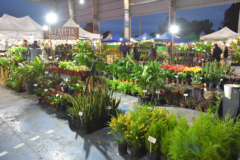 Impresionante fiesta de la Flor en Florencio Varela
