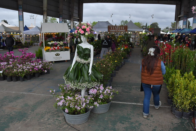 A todo color, la Fiesta de la Flor en Florencio Varela